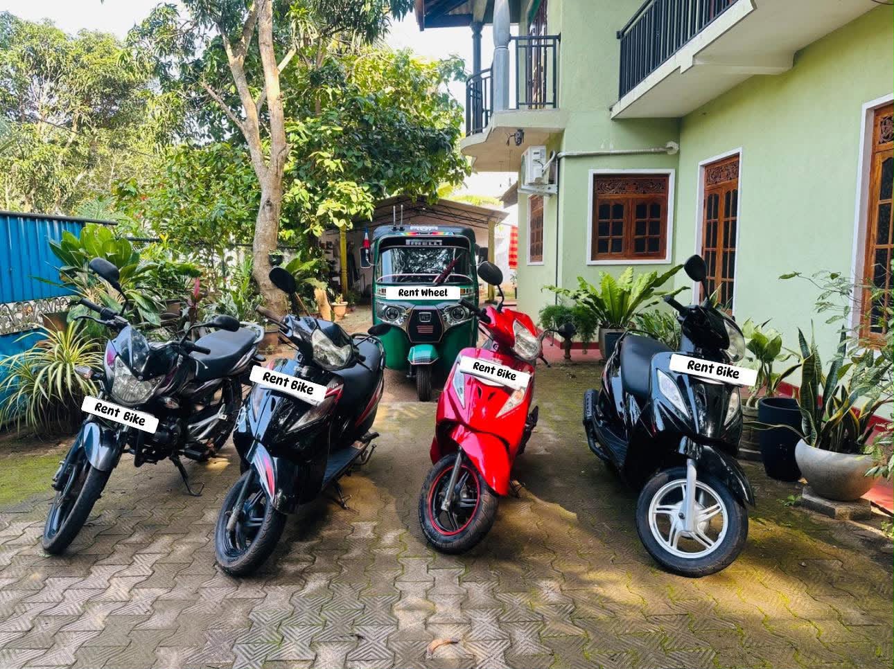Rental motorbikes and scooters parked at Silva Homestay & Bike Rental